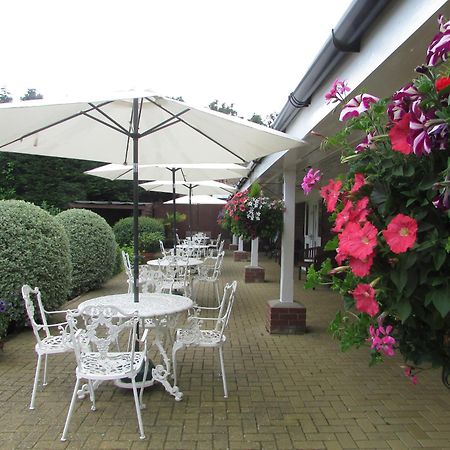 Decoy Barn Fritton Bed and Breakfast Εξωτερικό φωτογραφία