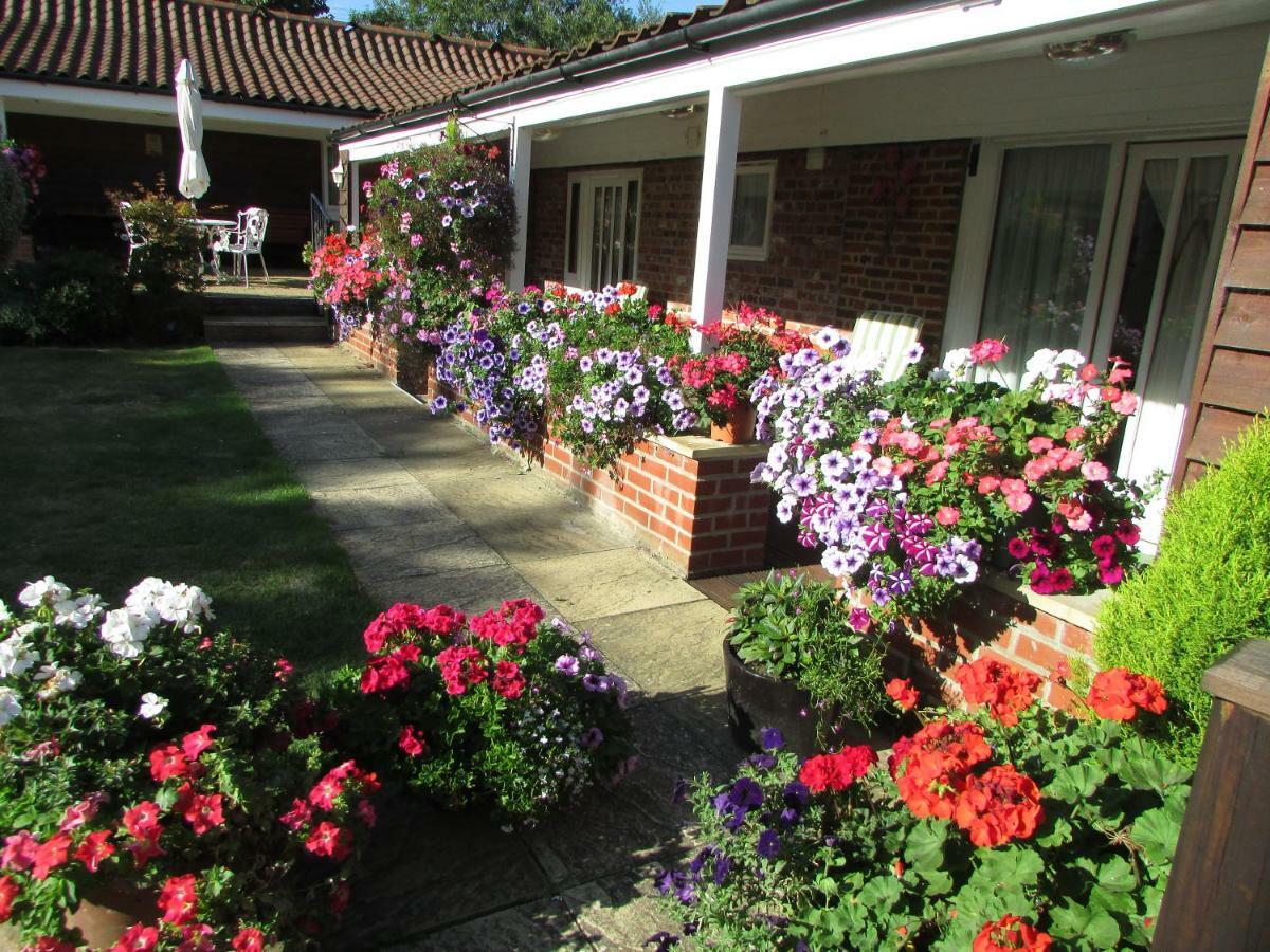 Decoy Barn Fritton Bed and Breakfast Εξωτερικό φωτογραφία