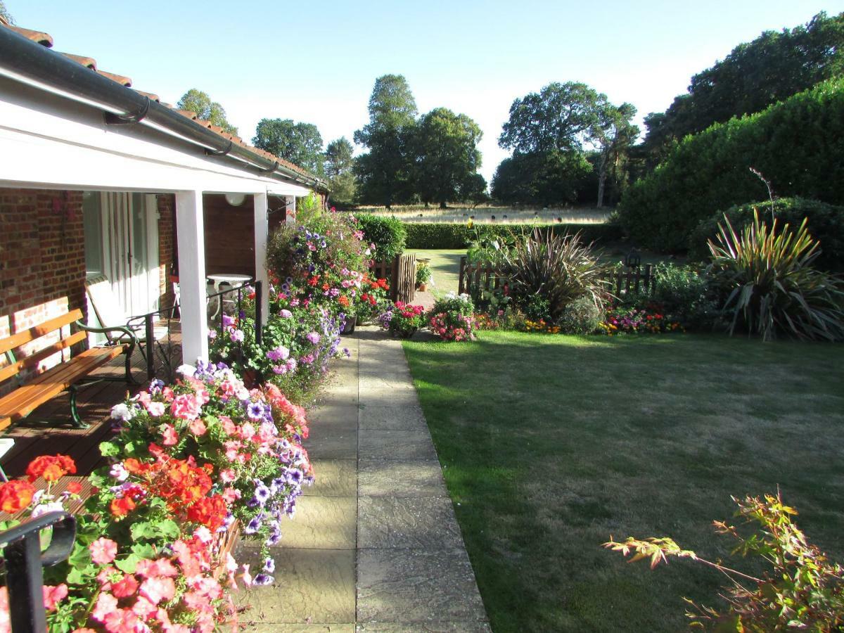Decoy Barn Fritton Bed and Breakfast Εξωτερικό φωτογραφία